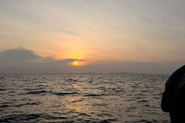 IMG-20250731-WA0205